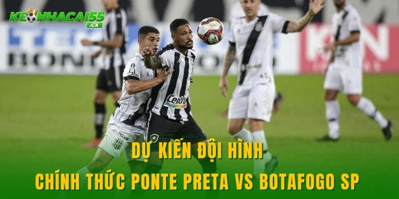 Dự kiến đội hình chính thức Ponte Preta vs Botafogo SP 